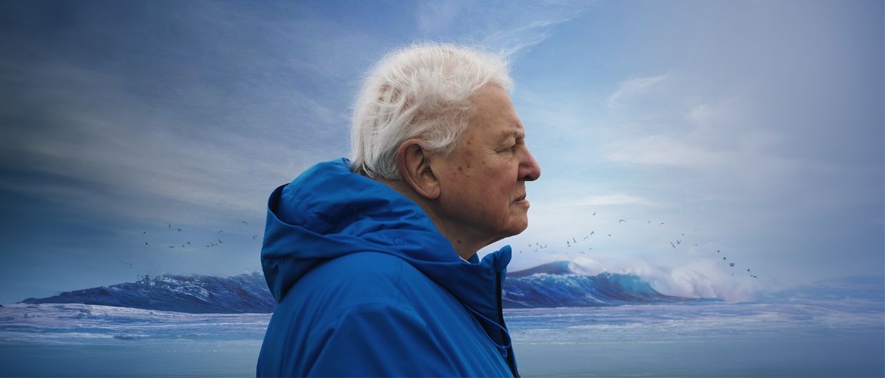 Sidmouth Film Society