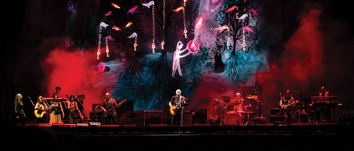 David Gilmour